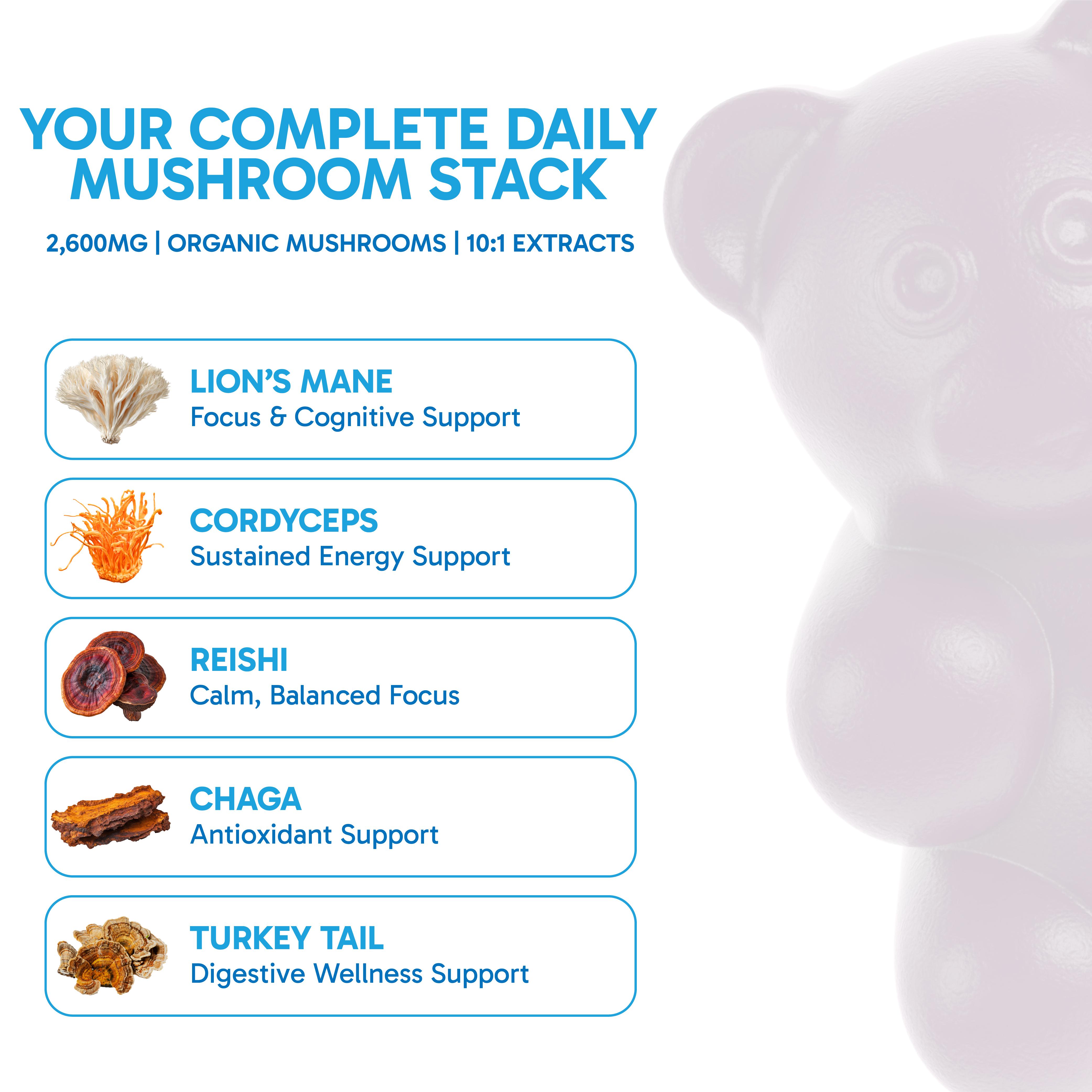 Super Mushroom Daily Gummies